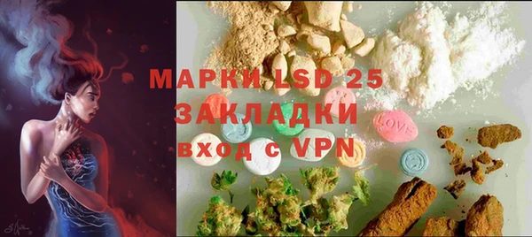 стафф Алзамай