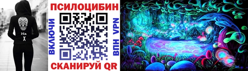 закладки  Гаврилов Посад  сайты даркнета состав  Псилоцибиновые грибы Magic Shrooms 