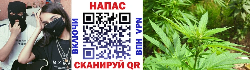 Бошки марихуана конопля  магазин  наркотиков  Гаврилов Посад 